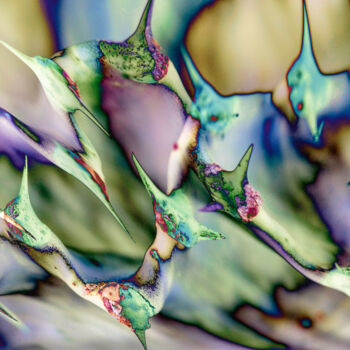 Digital Arts titled "Pastel Thorns" by Robbi Ling Montgomery, Original Artwork, 2D Digital Work