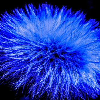 Artes digitais intitulada "Blue" por Robbi Ling Montgomery, Obras de arte originais, Trabalho Digital 2D