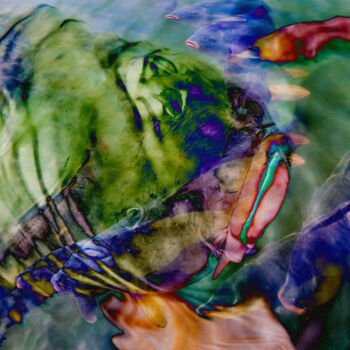 Digital Arts titled "Colorful Carp" by Robbi Ling Montgomery, Original Artwork, 2D Digital Work