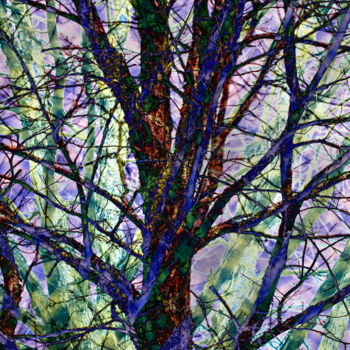 Digital Arts titled "Clouded Trees" by Robbi Ling Montgomery, Original Artwork, 2D Digital Work