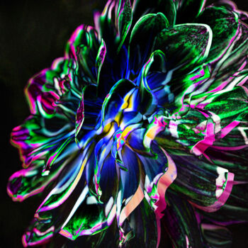 Digitale Kunst mit dem Titel "Dahlia Bright" von Robbi Ling Montgomery, Original-Kunstwerk