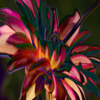 Digitale Kunst getiteld "Dahlia Glow" door Robbi Ling Montgomery, Origineel Kunstwerk