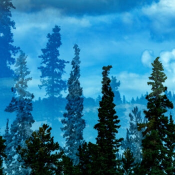 Digital Arts titled "Evergreen Views" by Robbi Ling Montgomery, Original Artwork