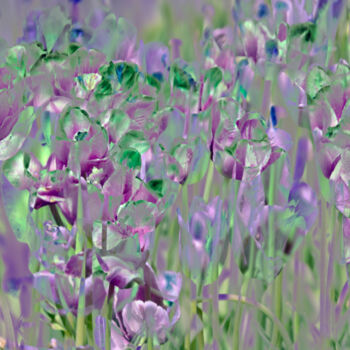 Arte digitale intitolato "Floral Montage" da Robbi Ling Montgomery, Opera d'arte originale, Lavoro digitale 2D