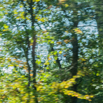 Photographie intitulée "Early Autumn" par Robbi Ling Montgomery, Œuvre d'art originale, Photographie numérique