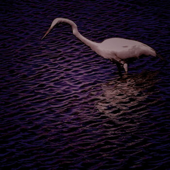Arte digitale intitolato "Heron At Sunset" da Robbi Ling Montgomery, Opera d'arte originale, Lavoro digitale 2D