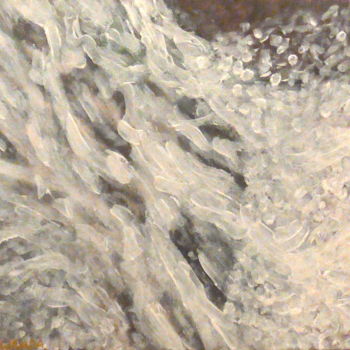 Painting titled "Waterfall" by Robbie Nuwanda, Original Artwork, Acrylic
