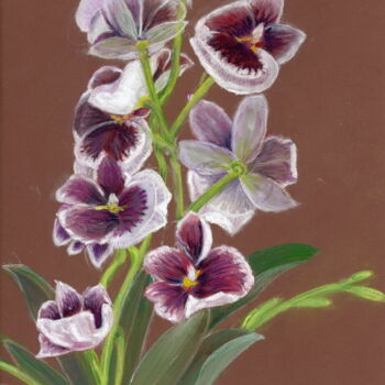 Peinture intitulée "orchidee.jpg" par Robert Dahout, Œuvre d'art originale, Pastel