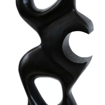 Sculpture intitulée "sensazioni-l-43-al-…" par Roberto Fruggeri, Œuvre d'art originale, Bois