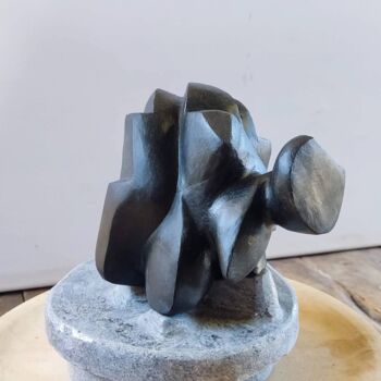 Sculpture intitulée "Tortuga negra" par Roberto García López, Œuvre d'art originale, Pierre