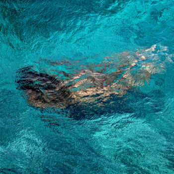 Fotografía titulada "The Mermaid" por Roberto Manetta, Obra de arte original, Fotografía digital
