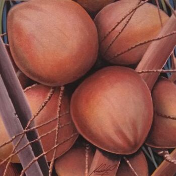 Pintura intitulada "LUCKY COCONUTS" por Roberto Pittino, Obras de arte originais, Aquarela