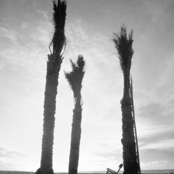 Fotografie mit dem Titel "la sedia e la palma" von Roberto Ferrero, Original-Kunstwerk, Analog Fotografie