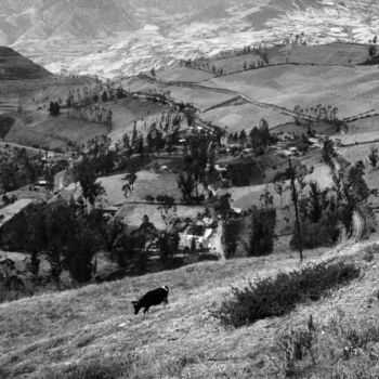 Fotografie getiteld "mucca peruviana a h…" door Roberto Ferrero, Origineel Kunstwerk, Film fotografie
