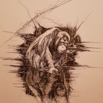 Zeichnungen mit dem Titel "Orang-outan" von Karl Robial, Original-Kunstwerk, Tinte