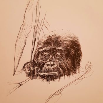 Tekening getiteld "Gorille 2" door Karl Robial, Origineel Kunstwerk, Inkt