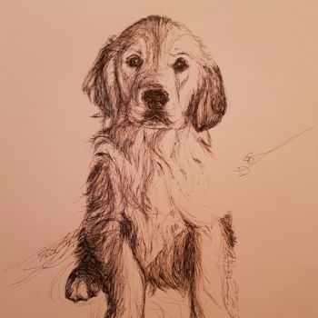 Drawing titled "Dog" by Karl Robial, Original Artwork, Ink