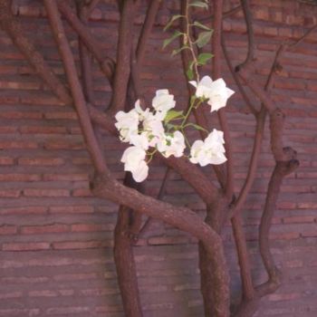 Fotografía titulada "CONTRE LE MUR" por Françoise Robin De Morhéry, Obra de arte original