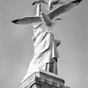 Photography titled "Liberty "2"" by Robin Santus, Original Artwork