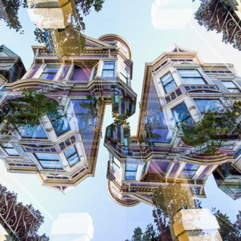 Photography titled "Painted Ladies San…" by Robin Vandenabeele, Original Artwork, Manipulated Photography Mounted on Alumini…