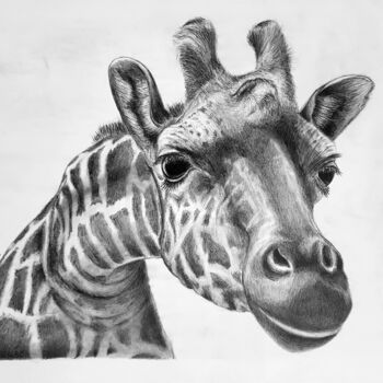 Drawing titled "Giraffa" by Roby Bí, Original Artwork, Graphite