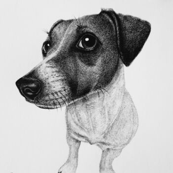 Drawing titled "Jack Russell" by Roby Bí, Original Artwork, Graphite