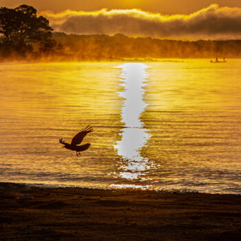 Photography titled "An Early Morning Fl…" by Rohit Kamboj, Original Artwork, Digital Photography