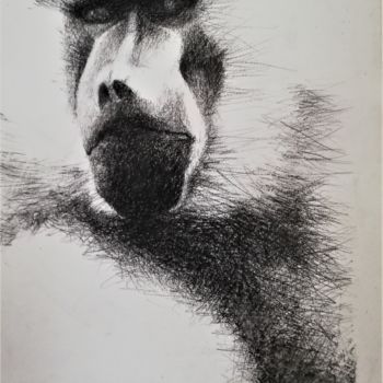 Drawing titled "Babouin" by Roland Guyomard, Original Artwork, Conté