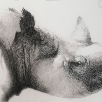 Drawing titled "Rhino" by Roland Guyomard, Original Artwork, Charcoal