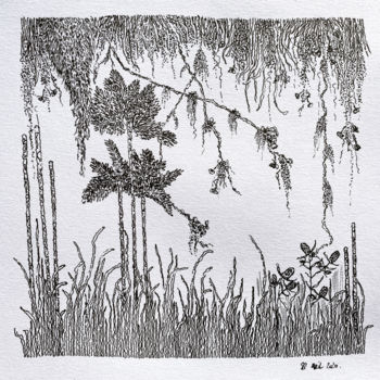 Dessin intitulée "Forêt tropicale" par Romain Pilato, Œuvre d'art originale, Encre