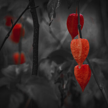 Photography titled "Осень" by Roman Adler, Original Artwork, Digital Photography