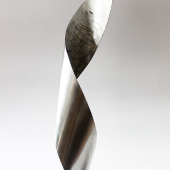 Sculpture titled "Whirlwind" by Roman Rabyk, Original Artwork, Stainless Steel