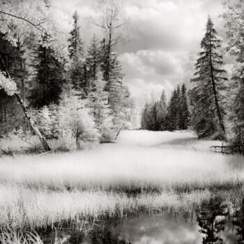 Photography titled "Old river" by Romeo Koitmäe, Original Artwork, Analog photography