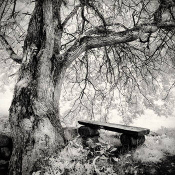 Photography titled "Bench" by Romeo Koitmäe, Original Artwork, Analog photography