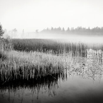 Fotografia zatytułowany „Layers” autorstwa Romeo Koitmäe, Oryginalna praca, Fotografia filmowa