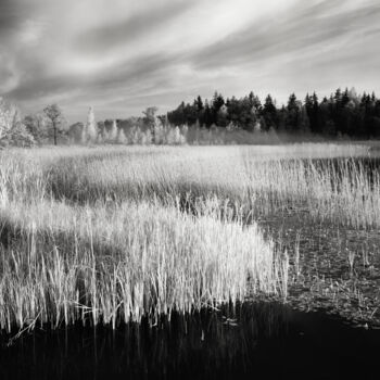 Fotografie mit dem Titel "Bends" von Romeo Koitmäe, Original-Kunstwerk, Analog Fotografie