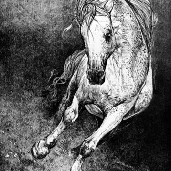 Рисунок под названием "Horse - engraving" - Raileanu Romeo, Подлинное произведение искусства, Другой