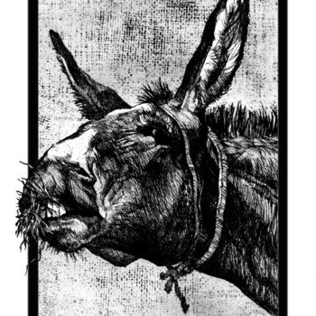 Dessin intitulée "Donkey - Engraving" par Raileanu Romeo, Œuvre d'art originale, Autre
