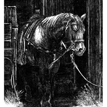 Σχέδιο με τίτλο "Horse (Engraving-Aq…" από Raileanu Romeo, Αυθεντικά έργα τέχνης