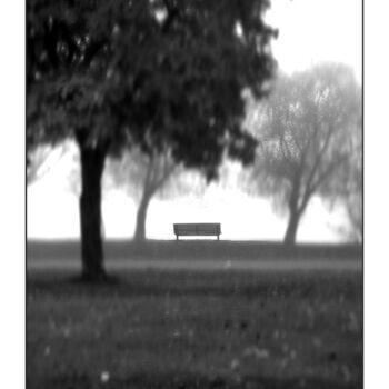 Fotografia zatytułowany „Park Bench” autorstwa Ron Pfister, Oryginalna praca