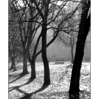 Photographie intitulée "Park Bench 2" par Ron Pfister, Œuvre d'art originale