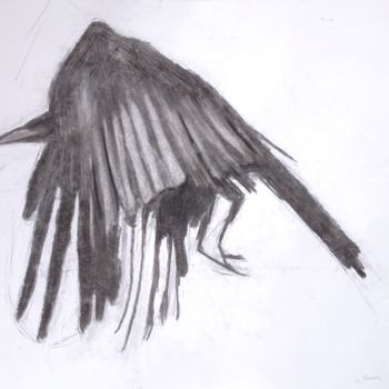 Dessin intitulée "Corvus corax" par Ronan Le Morvan, Œuvre d'art originale, Fusain