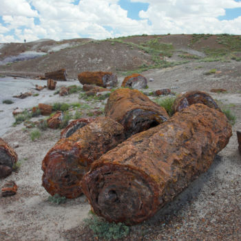Photographie intitulée "Petrified Logs" par Ronald Santini, Œuvre d'art originale