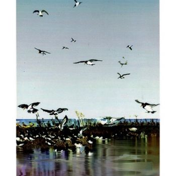 Painting titled "OYSTERCATCHERS" by Ian H. Parry, Original Artwork