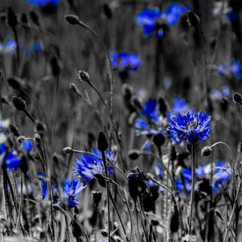Photographie intitulée "Bleu" par Rosalina Vaz, Œuvre d'art originale, Photographie numérique