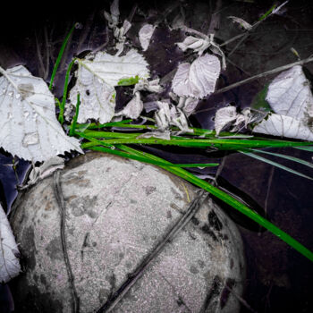 Fotografia intitulada "Nature morte" por Rosalina Vaz, Obras de arte originais, Fotografia digital