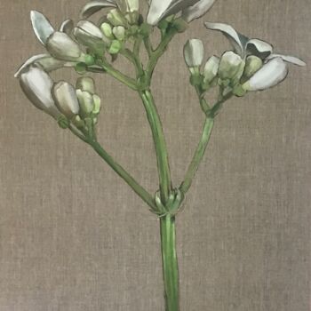 Painting titled "Galium odoratum" by Rosa Mujal Closa, Original Artwork, Oil Mounted on Wood Stretcher frame