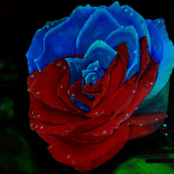 Pittura intitolato "rosa ínter racial" da Carlos Alberto Rosell Pla, Opera d'arte originale, Olio