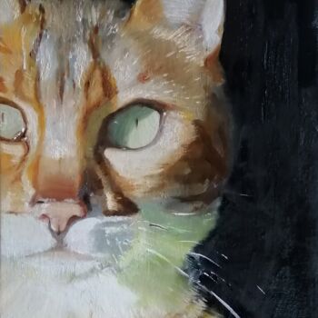 Painting titled "Cat's eyes" by Rosemary Burn, Original Artwork, Oil