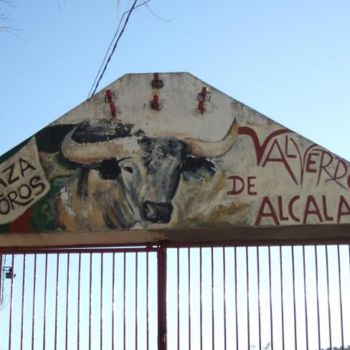 Pintura titulada "plaza de toros de V…" por Sergio Llorente Rosendo, Obra de arte original